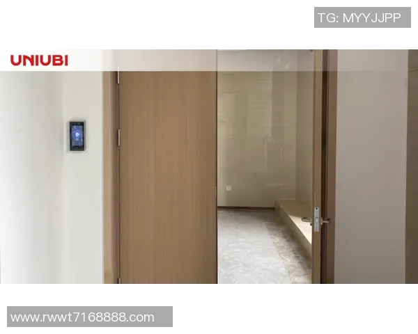 阙云小Z突破创新瓶颈引领行业新潮流助力未来发展新机遇