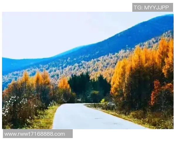 暖阳下的1266天李白诗意人生与心灵探索之旅 暖阳下的1266天李白诗意人生与心灵探索之旅