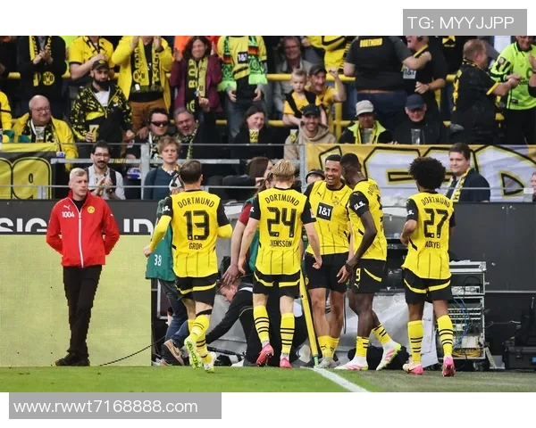 霍芬海姆主场狂胜，德甲排名一路飙升